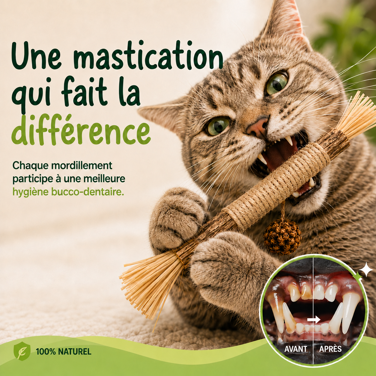 Stick'Matatabi® — Bâtonnets à mâcher pour chat · Silvervine & sisal