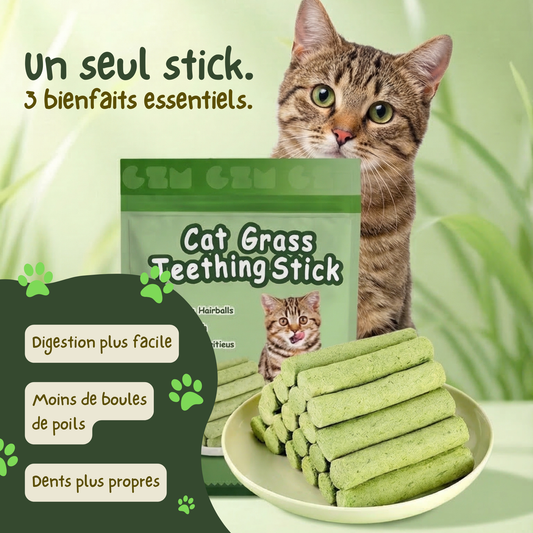 Stick'Herbe® — sticks à l'herbe à chat