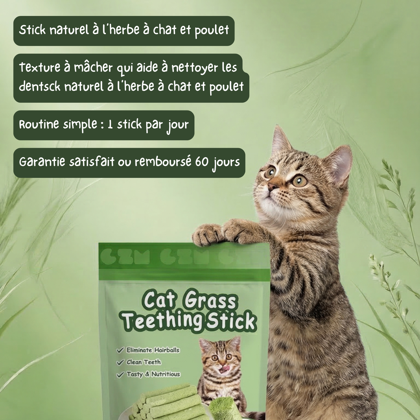 Stick'Herbe® — sticks à l'herbe à chat