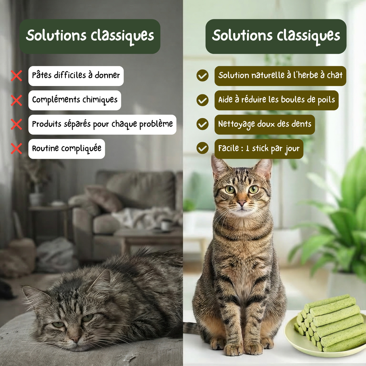 Stick’Herbe® — sticks à herbe à chat – Les pattes vertes