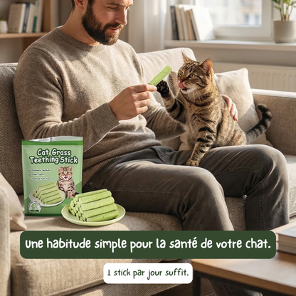 Stick'Herbe® — sticks à l'herbe à chat