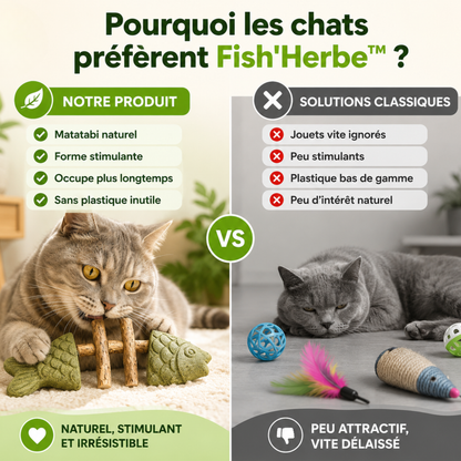 Croque-Poisson® — Os de poisson à mâcher · Silvervine & herbe à chat
