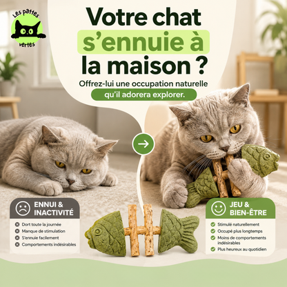 Croque-Poisson® — Os de poisson à mâcher · Silvervine & herbe à chat
