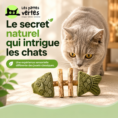 Croque-Poisson® — Os de poisson à mâcher · Silvervine & herbe à chat