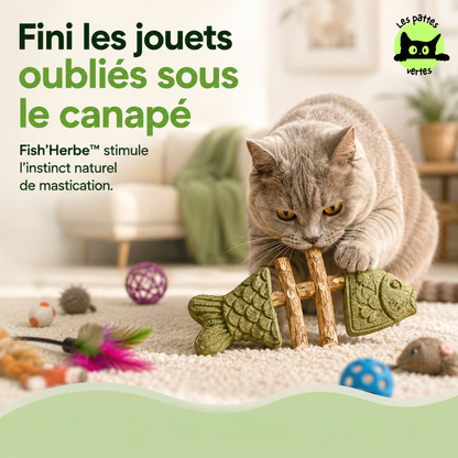 Croque-Poisson® — Os de poisson à mâcher · Silvervine & herbe à chat