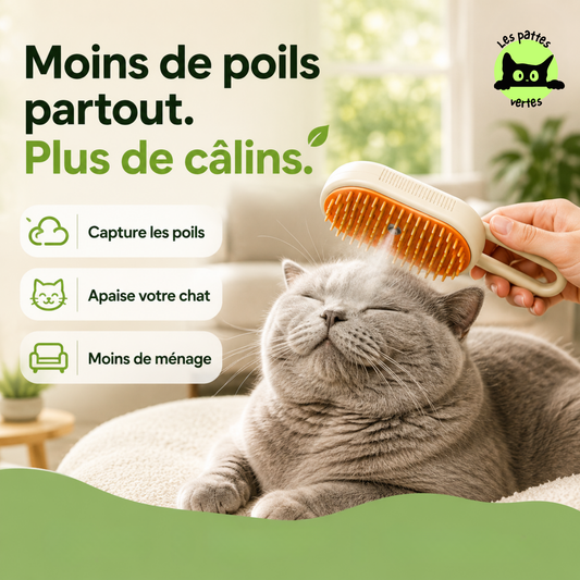 VapoBrosse® — Brosse vapeur anti-poils 3-en-1