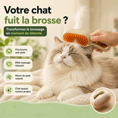 VapoBrosse® — Brosse vapeur anti-poils 3-en-1