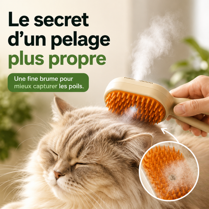 VapoBrosse® — Brosse vapeur anti-poils 3-en-1