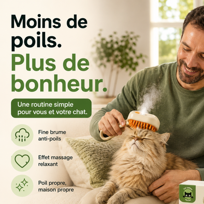 VapoBrosse® — Brosse vapeur anti-poils 3-en-1