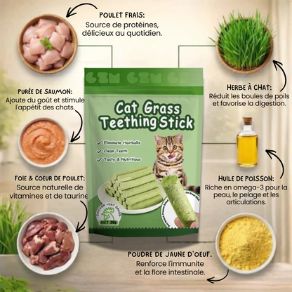 Stick'Herbe® — sticks à l'herbe à chat