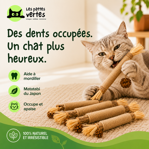 Stick'Matatabi® — Bâtonnets à mâcher pour chat · Silvervine & sisal