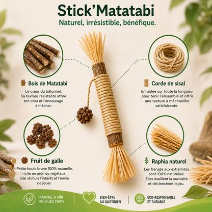 Stick'Matatabi® — Bâtonnets à mâcher pour chat · Silvervine & sisal
