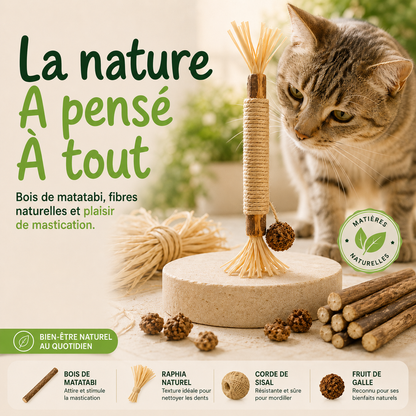 Stick'Matatabi® — Bâtonnets à mâcher pour chat · Silvervine & sisal