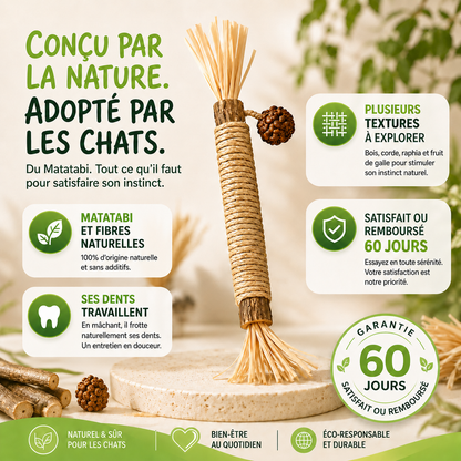 Stick'Matatabi® — Bâtonnets à mâcher pour chat · Silvervine & sisal