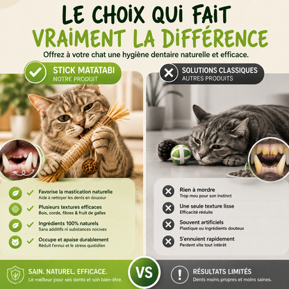 Stick'Matatabi® — Bâtonnets à mâcher pour chat · Silvervine & sisal