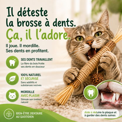 Stick'Matatabi® — Bâtonnets à mâcher pour chat · Silvervine & sisal