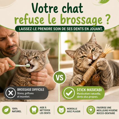 Stick'Matatabi® — Bâtonnets à mâcher pour chat · Silvervine & sisal
